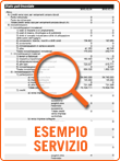 Esempio copia bilancio ufficiale