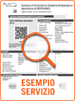 Esempio fascicolo società