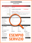 Esempio Informazione impresa estera